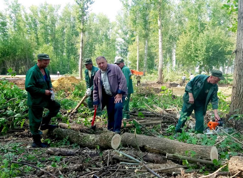 В Рязанской области подведены итоги Всероссийской осенней акции «Живи, лес!» - фото 9