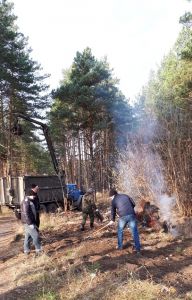 Управление лесами Брянской области продолжает работу по организации ликвидации несанкционированных свалок - фото 1
