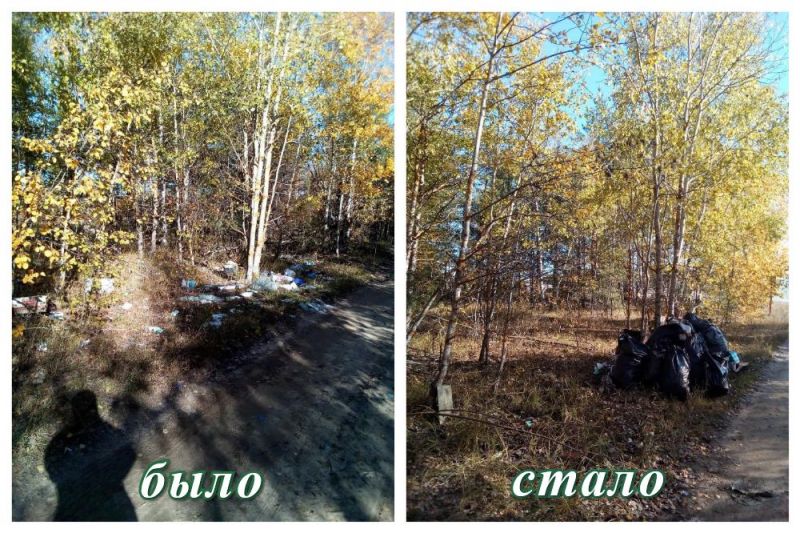 Территорию государственного лесного фонда Рязанской области очистили от бытового мусора - фото 2