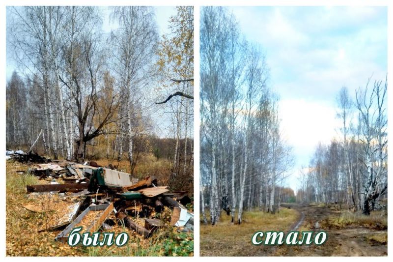 Территорию государственного лесного фонда Рязанской области очистили от бытового мусора - фото 3