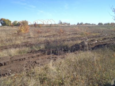 В Липецкой области завершается проведение работ по подготовке площадей, подлежащих лесовостановлению в 2019 году - фото 1