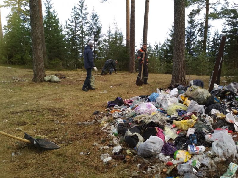 В Тверской области подвели итоги акции «Очистим лес от мусора» - фото 2