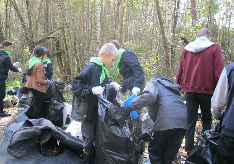 В Тверской области подвели итоги акции «Очистим лес от мусора» - фото 1