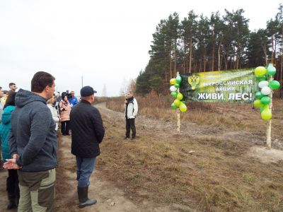 Орловская область поддерживает Всероссийскую акцию «Живи, лес!» - фото 1
