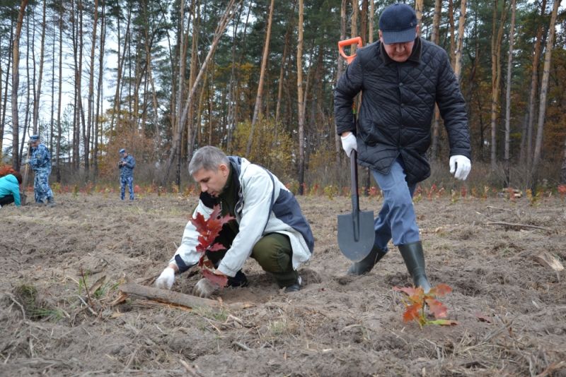 Орловская область поддерживает Всероссийскую акцию «Живи, лес!» - фото 12