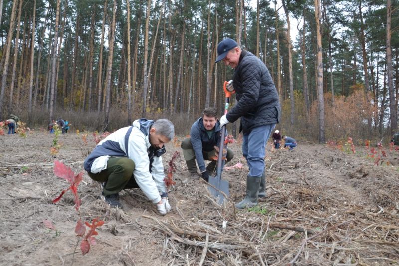 Орловская область поддерживает Всероссийскую акцию «Живи, лес!» - фото 14