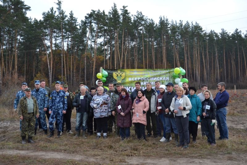Орловская область поддерживает Всероссийскую акцию «Живи, лес!» - фото 10