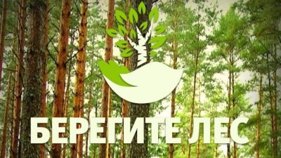 Губернатор Воронежской области Александр Гусев утвердил паспорт регионального проекта «Сохранение лесов» - фото 1