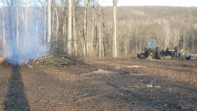 Завершается уборка захламленности в пригородных лесах Воронежской области - фото 1