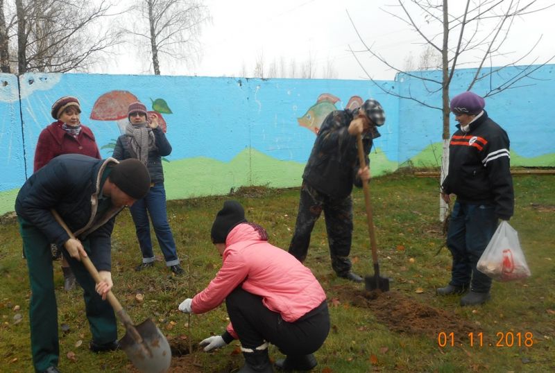 День добрых дел в Дубровском районе Брянской области - фото 1