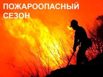 В костромских лесах открыт пожароопасный сезон - фото 1