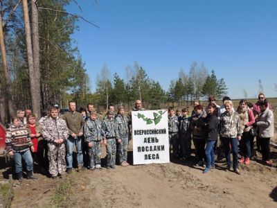 В Ивановском регионе завершено проведение мероприятий акции  «Всероссийский день посадки леса» - фото 1