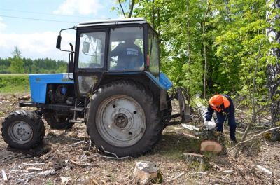 В Липецкой области продолжается работы по улучшению  санитарного состояния придорожных лесных полос - фото 1