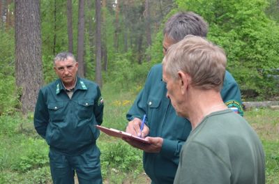 В Липецкой области лесные инспекторы подвели  итоги работы за первое полугодие - фото 1
