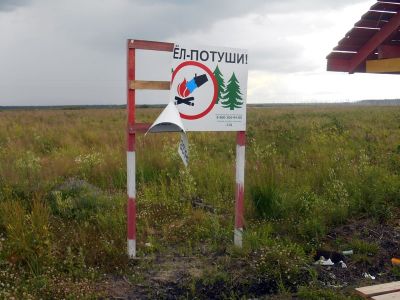 За уничтожение лесной инфраструктуры Белгородчины вандалы понесут наказание - фото 1