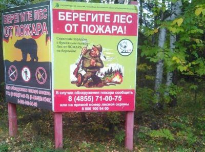 Пожароопасный сезон в лесах Ярославской области завершен - фото 1
