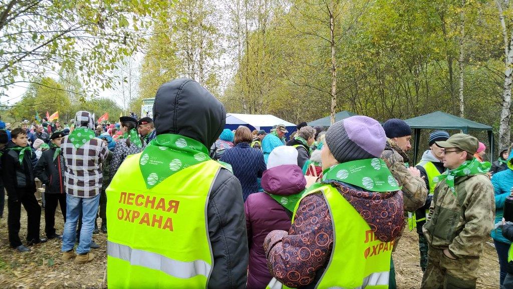 В Ростовском районе Ярославской области прошла центральная акция «Живи, лес!» - фото 13