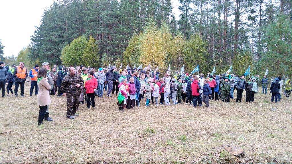 В Ростовском районе Ярославской области прошла центральная акция «Живи, лес!» - фото 17