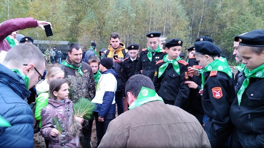 В Ростовском районе Ярославской области прошла центральная акция «Живи, лес!» - фото 32