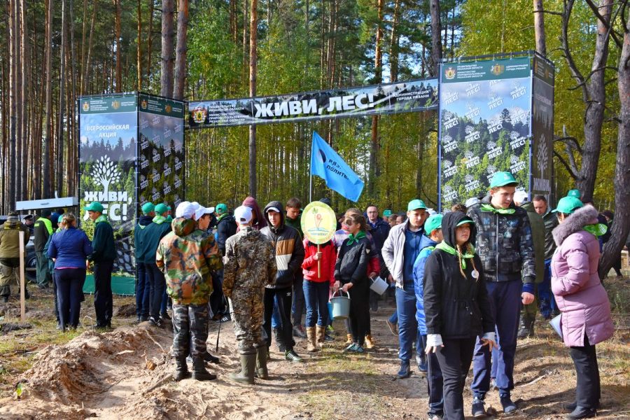 В Рязанской области стартовала Всероссийская акция «Живи, лес!» - фото 14