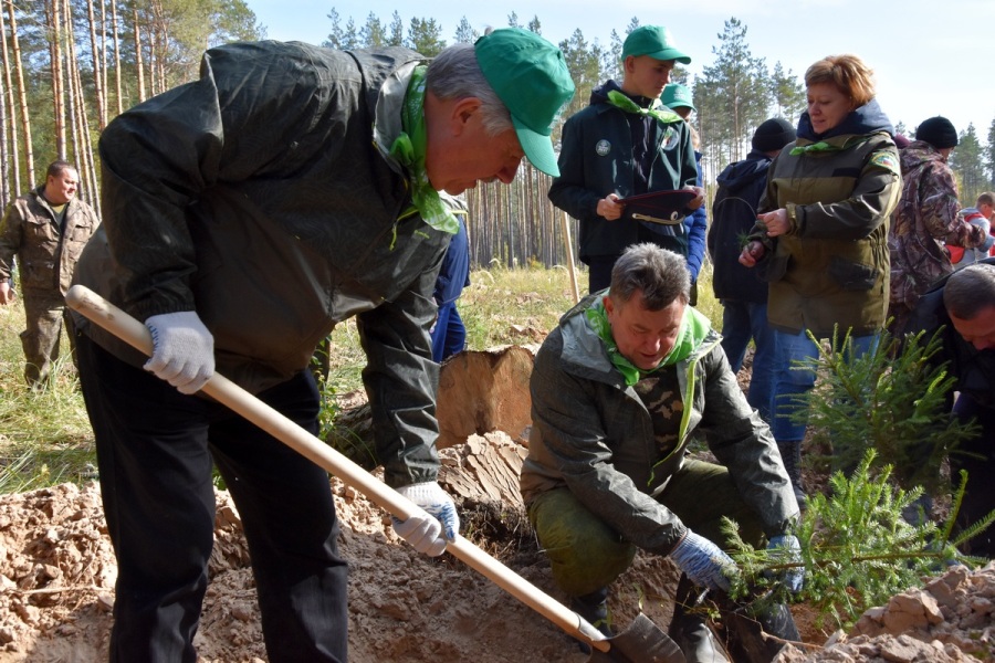 В Рязанской области стартовала Всероссийская акция «Живи, лес!» - фото 15