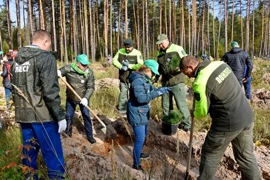 В Рязанской области стартовала Всероссийская акция «Живи, лес!» - фото 17