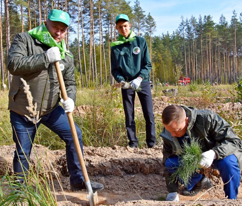 В Рязанской области стартовала Всероссийская акция «Живи, лес!» - фото 19