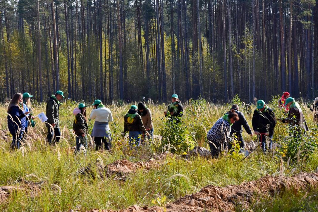 В Рязанской области стартовала Всероссийская акция «Живи, лес!» - фото 24