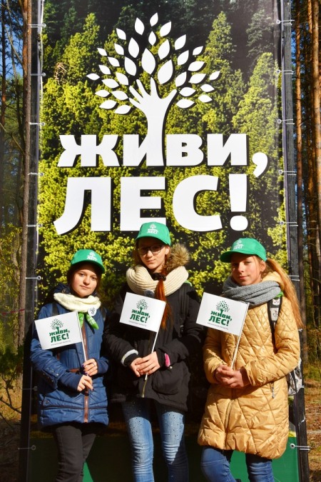 В Рязанской области стартовала Всероссийская акция «Живи, лес!» - фото 27