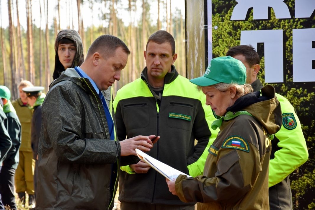 В Рязанской области стартовала Всероссийская акция «Живи, лес!» - фото 30