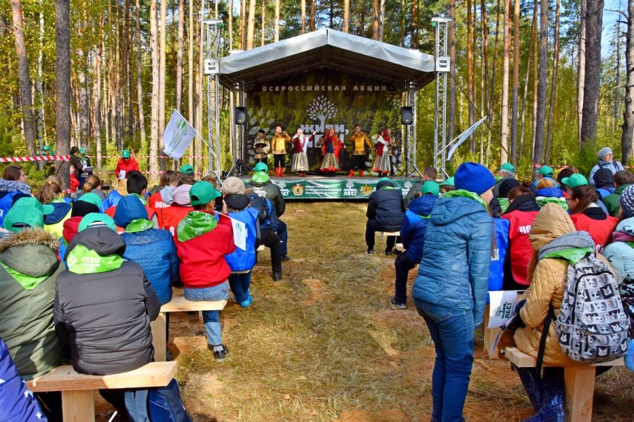 В Рязанской области стартовала Всероссийская акция «Живи, лес!» - фото 4