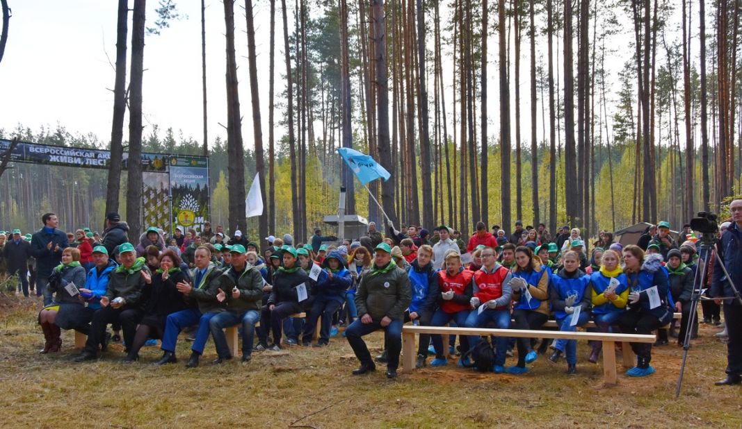 В Рязанской области стартовала Всероссийская акция «Живи, лес!» - фото 31