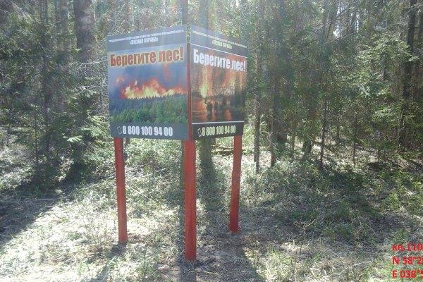 Противопожарные профилактические мероприятия на территории лесного фонда Ярославской области выполнены на 100% - фото 1
