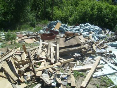 70 свалок мусора ликвидировано в лесничествах Воронежской  области - фото 1