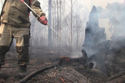Продолжаются работы по окарауливанию лесных пожаров в Воронежской области - фото 1