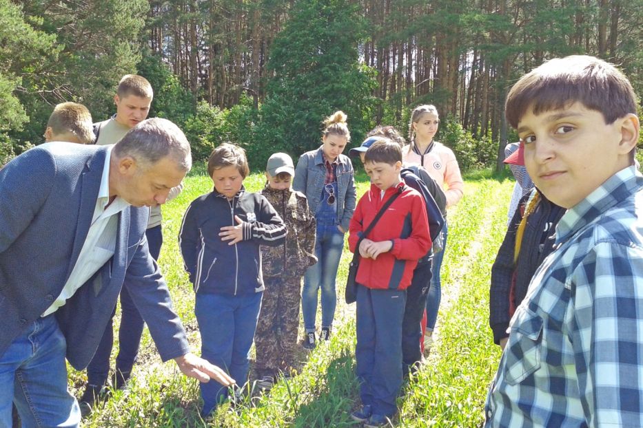 Как рождается лес, рассказали учащимся Смоленской области - фото 1