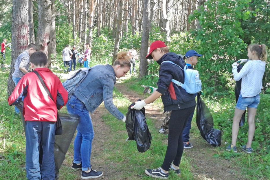 Как рождается лес, рассказали учащимся Смоленской области - фото 3