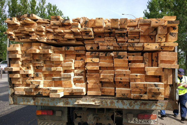  Контроль за оборотом древесины в Ярославской области - фото 2