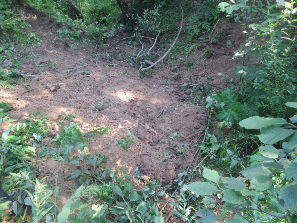 Ликвидация несанкционированных свалок на территории лесного фонда Ярославской области продолжается - фото 3