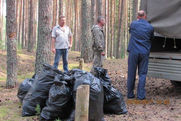 Ликвидация несанкционированных свалок на территории лесного фонда Ярославской области. - фото 11