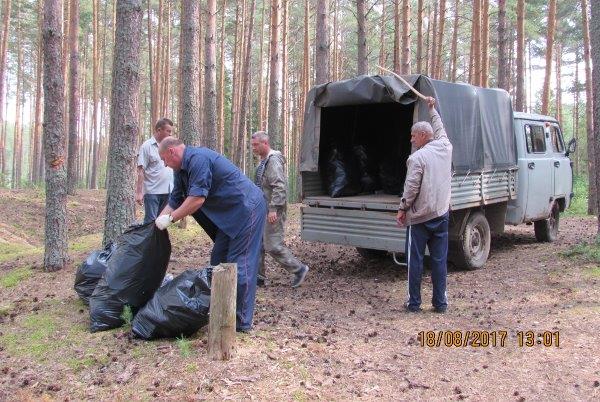 Ликвидация несанкционированных свалок на территории лесного фонда Ярославской области. - фото 13