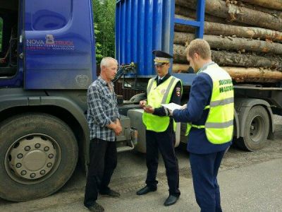 Департамент лесного хозяйства Ярославской области продолжает проводить совместные с ГИБДД рейды на дорогах области - фото 1