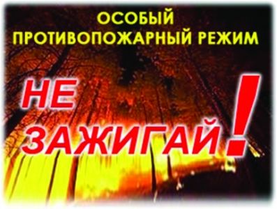 Особый противопожарный режим введен в Новодугинском районе и г. Десногорск Смоленской области - фото 1