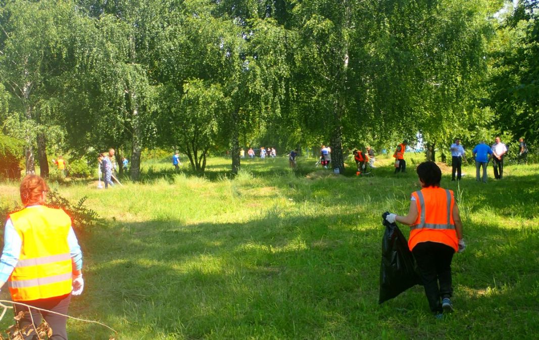 В Пронском районе Рязанской области  прошли экологические соревнования - фото 2