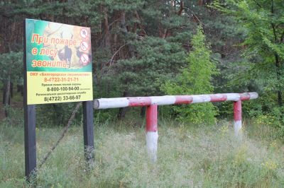 В белгородских лесах продлят особый противопожарный режим - фото 1