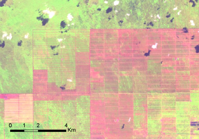 На Олимпиаде НТИ разработают алгоритм решения важных экологических задач на основе спутниковых снимков - фото 3