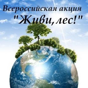 Итоги Всероссийской акции «Живи, лес!» в Костромской области - фото 1