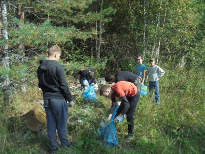 В Костромской области прошла акция «Очистим лес от мусора» - фото 1