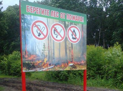 ОКУ «Белгородское лесничество» напоминает  белгородцам о соблюдении Правил пожарной безопасности в лесах на территории региона - фото 1