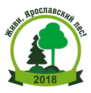 3 октября в Ярославской области пройдет Всероссийская осенняя акция «Живи, лес!» - фото 1